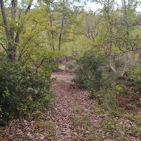 Elaia 4* Synikia Mesi Trikalon