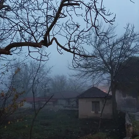 Elaia Synikia Mesi Trikalon