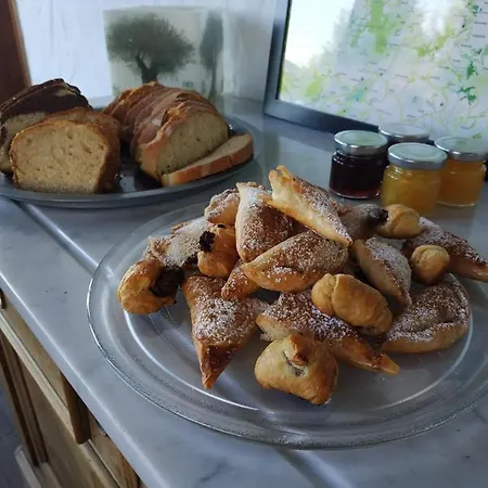 Maison d'hôtes Elaia Synikia Mesi Trikalon