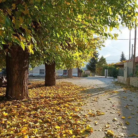 Elaia 4* Synikia Mesi Trikalon