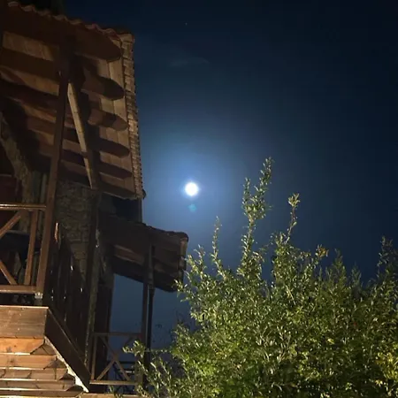 Elaia Synikia Mesi Trikalon