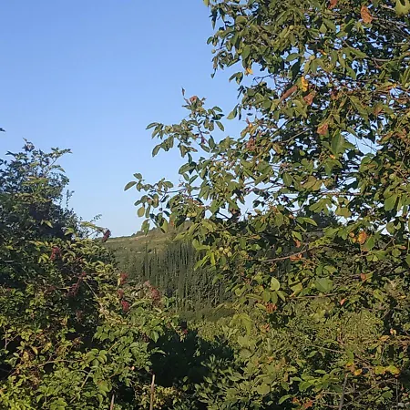 Casa de hóspedes Elaia 4*