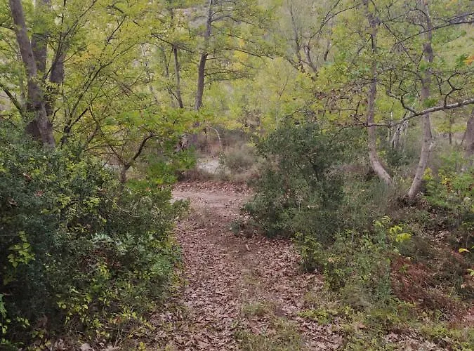 Elaia 4* Synikia Mesi Trikalon