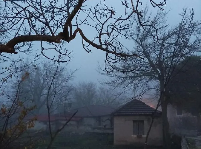 Elaia Синикия-Меси-Трикала