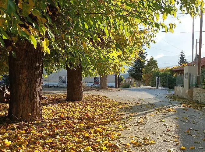 Elaia 4* Synikia Mesi Trikalon