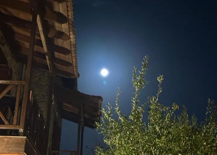 Elaia Synikia Mesi Trikalon